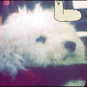 Meet your Posher, Karina